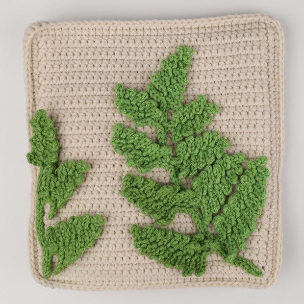 Home Page My Store home-page-my-store