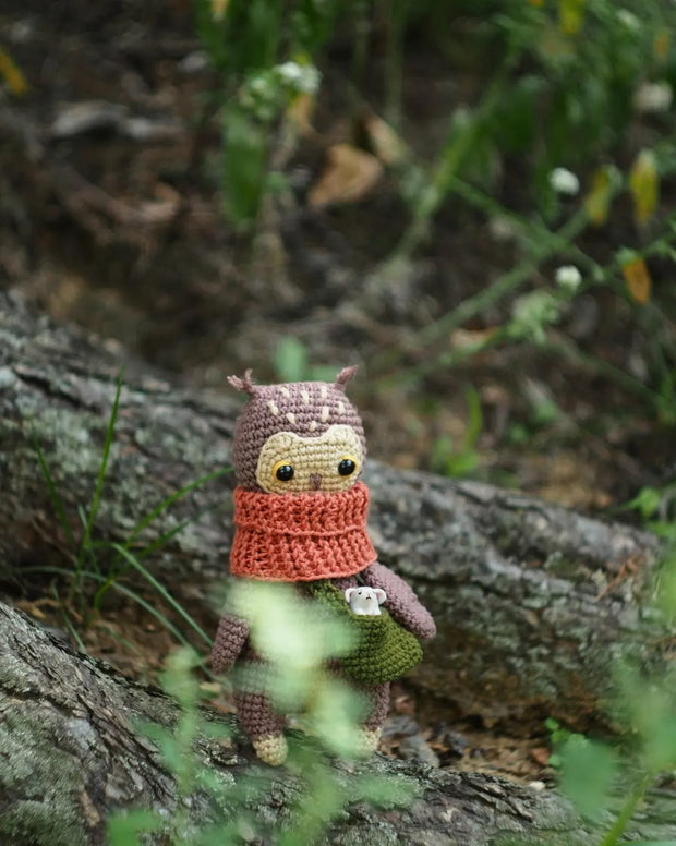 PATTERN eagle owl amigurumi toy with accessorie